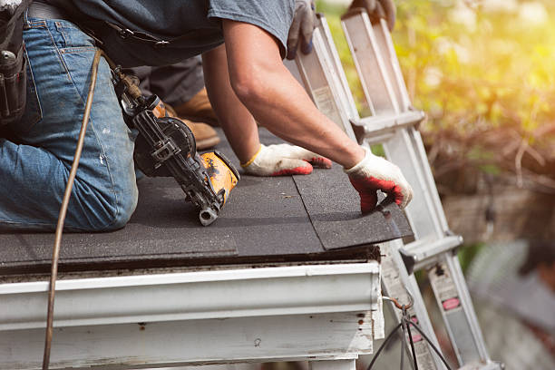 Best Roof Gutter Cleaning  in Camp Swift, TX